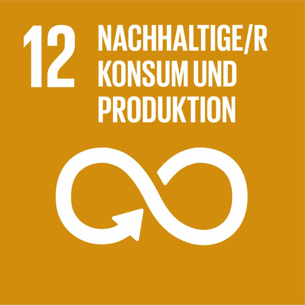 12 Nachhaltiger Konsum und Produktion